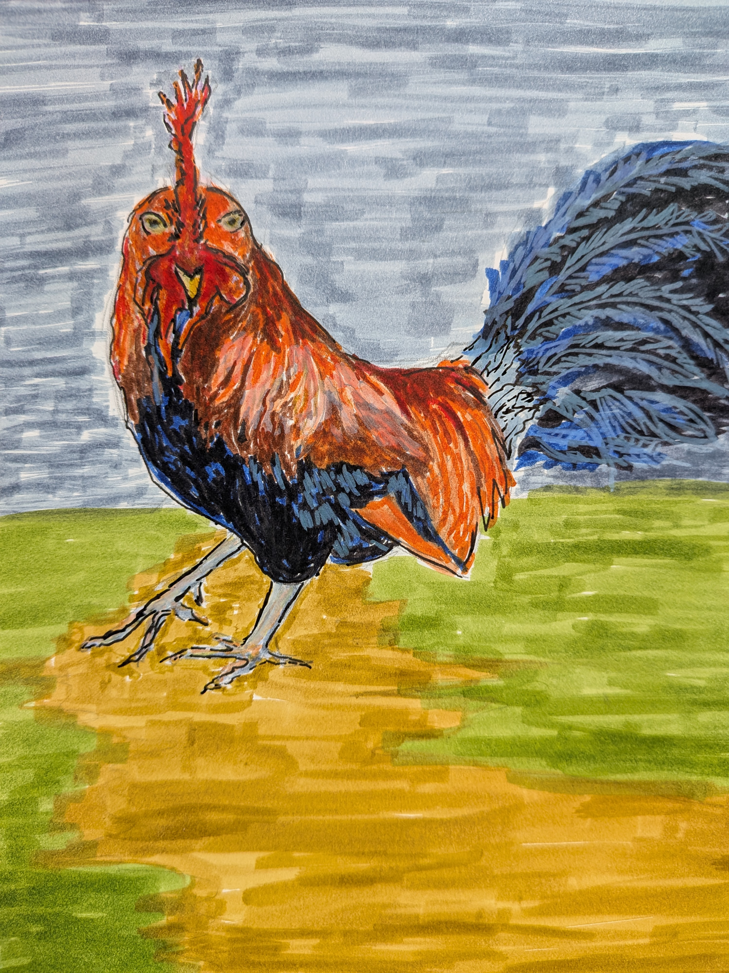 Kauai roosters — marker sketch, airport layover