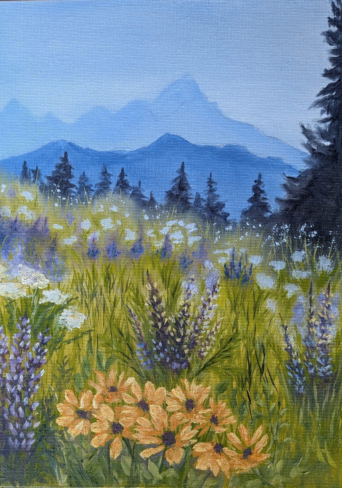 Alpine Meadow